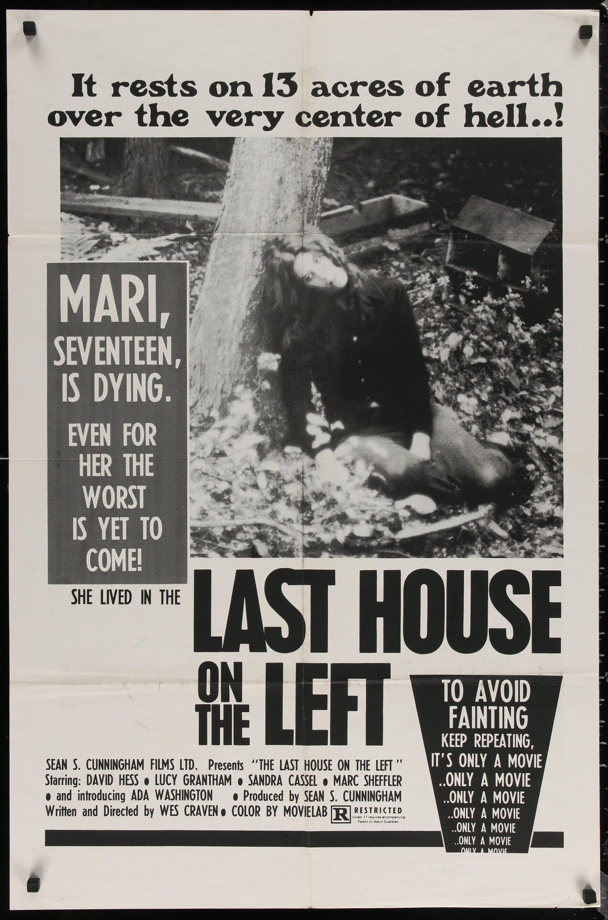 Last House on the Left Original Vintage Movie Poster
