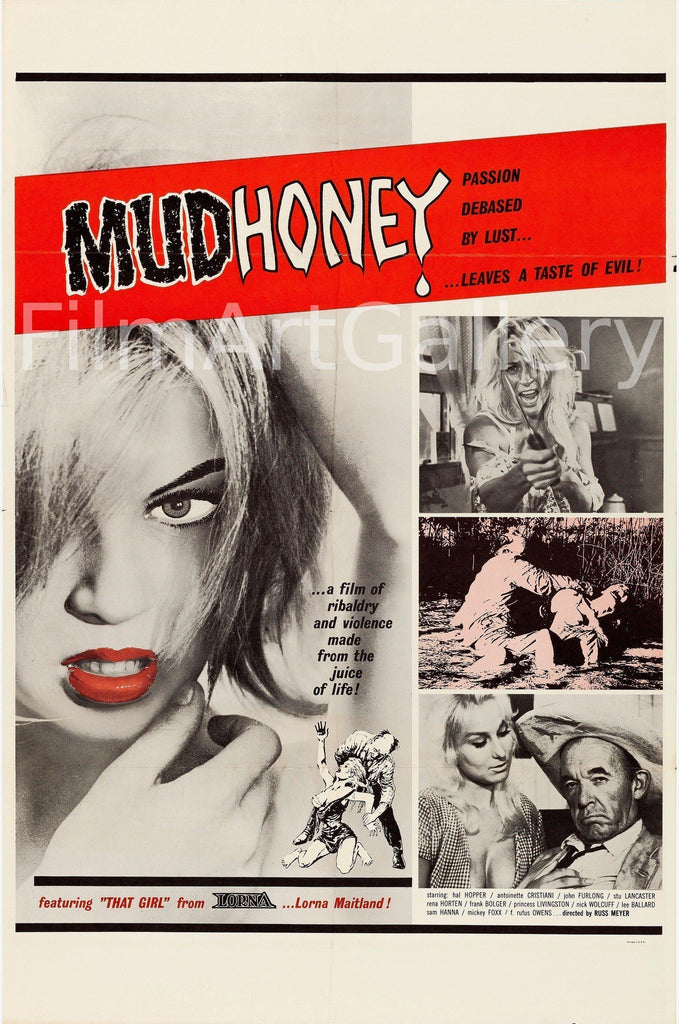 Mudhoney Original Vintage Movie Poster