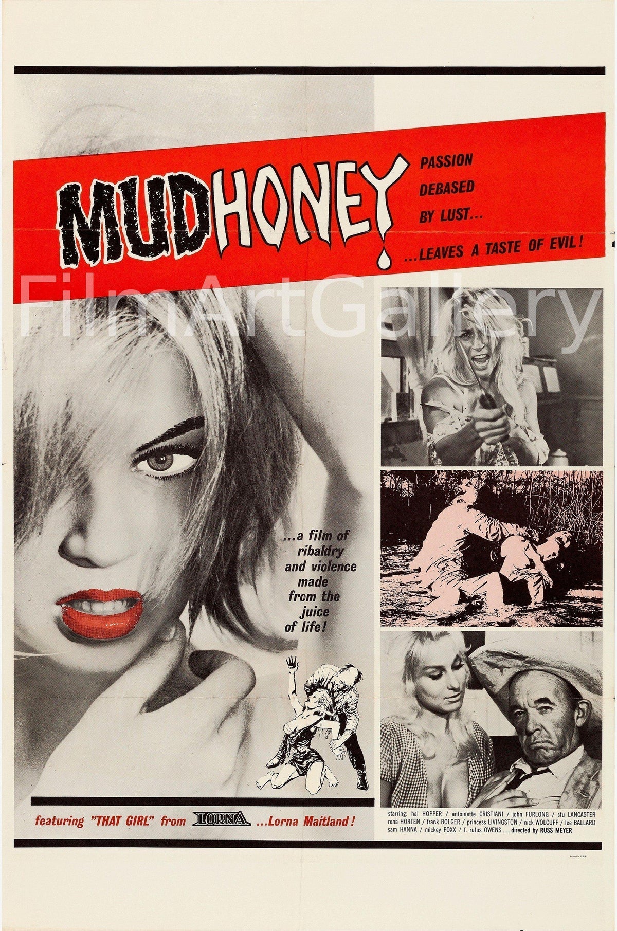 Mudhoney Original Vintage Movie Poster
