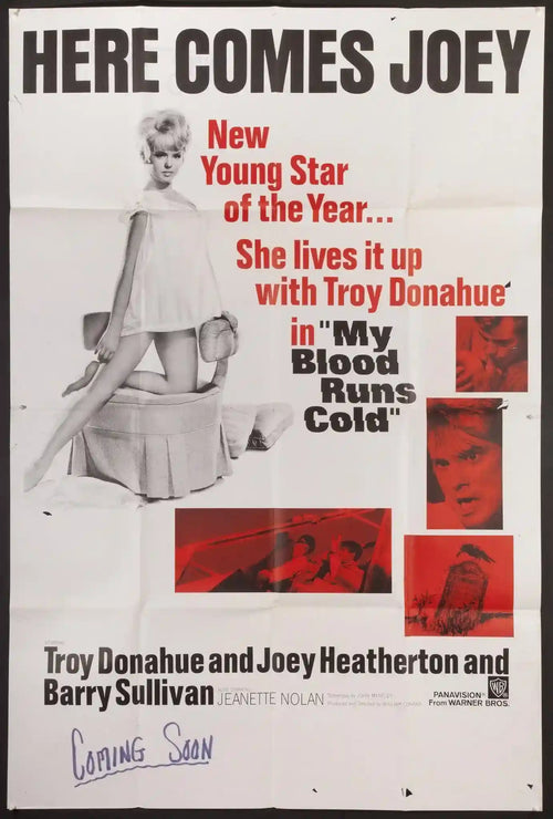 My Blood Runs Cold / Joey Heatherton Original Vintage Movie Poster