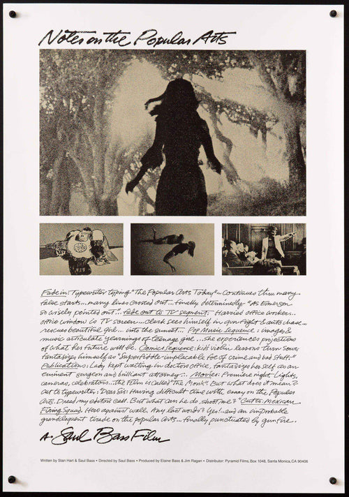 Notes on the Popular Arts Original Vintage Movie Poster