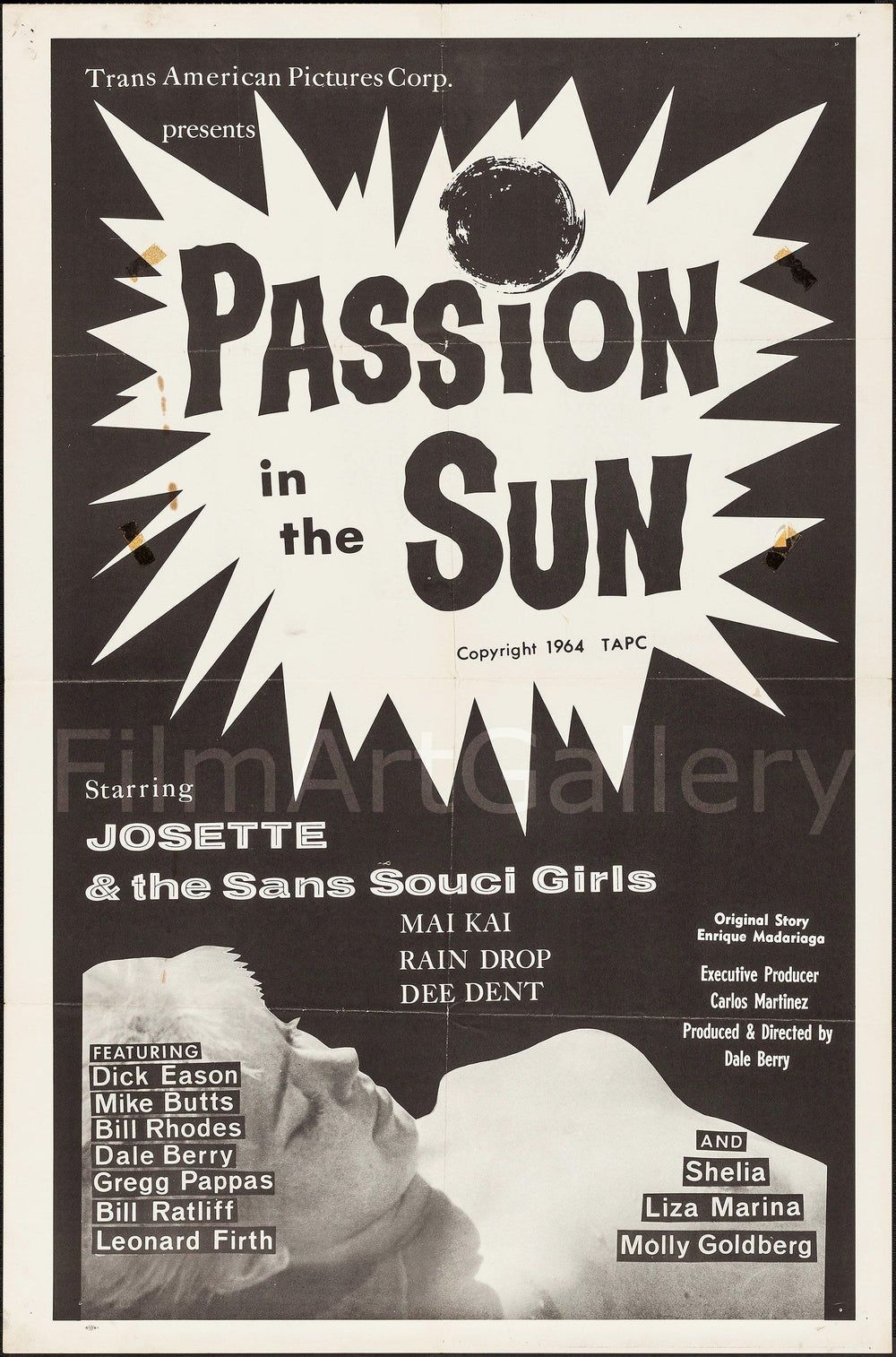 Passion in the Sun Original Vintage Movie Poster