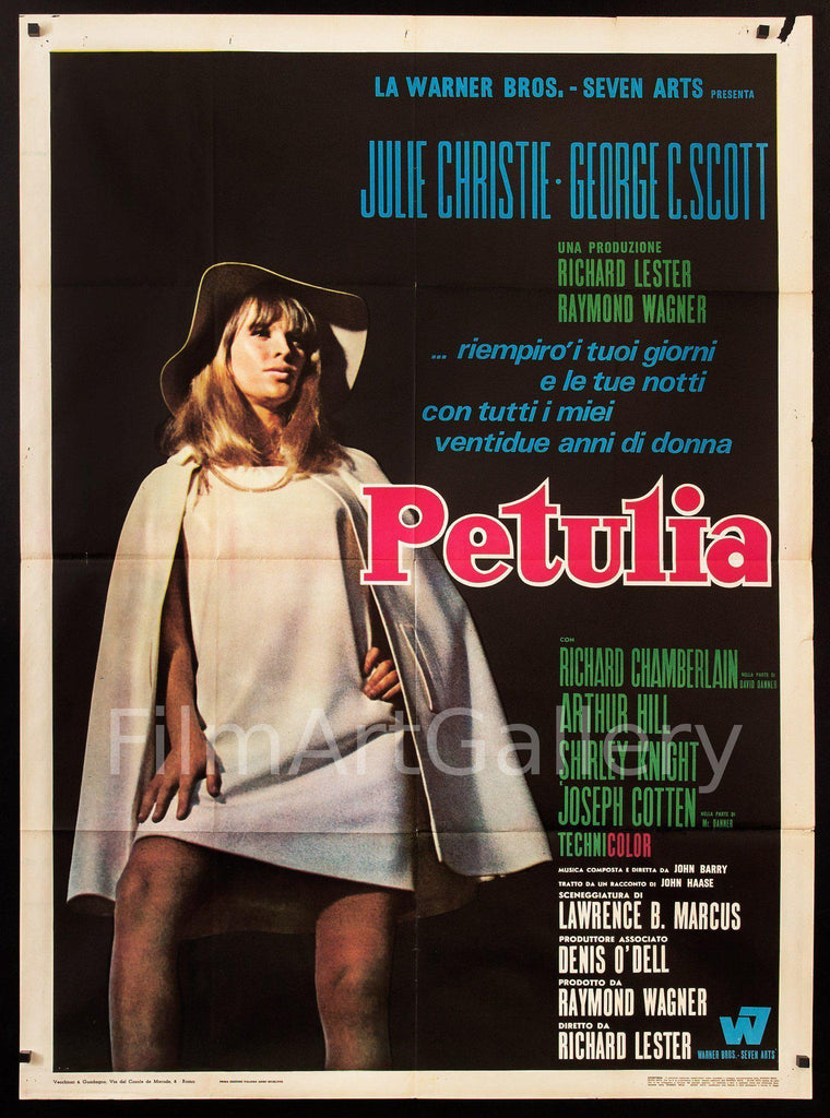 Petulia Original Vintage Movie Poster