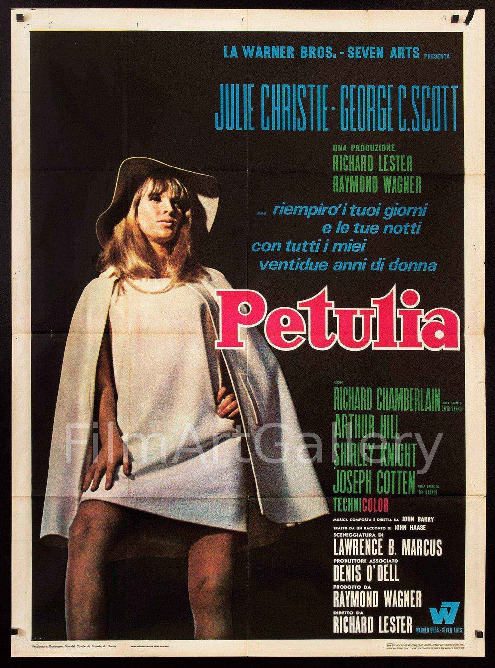 Petulia Original Vintage Movie Poster