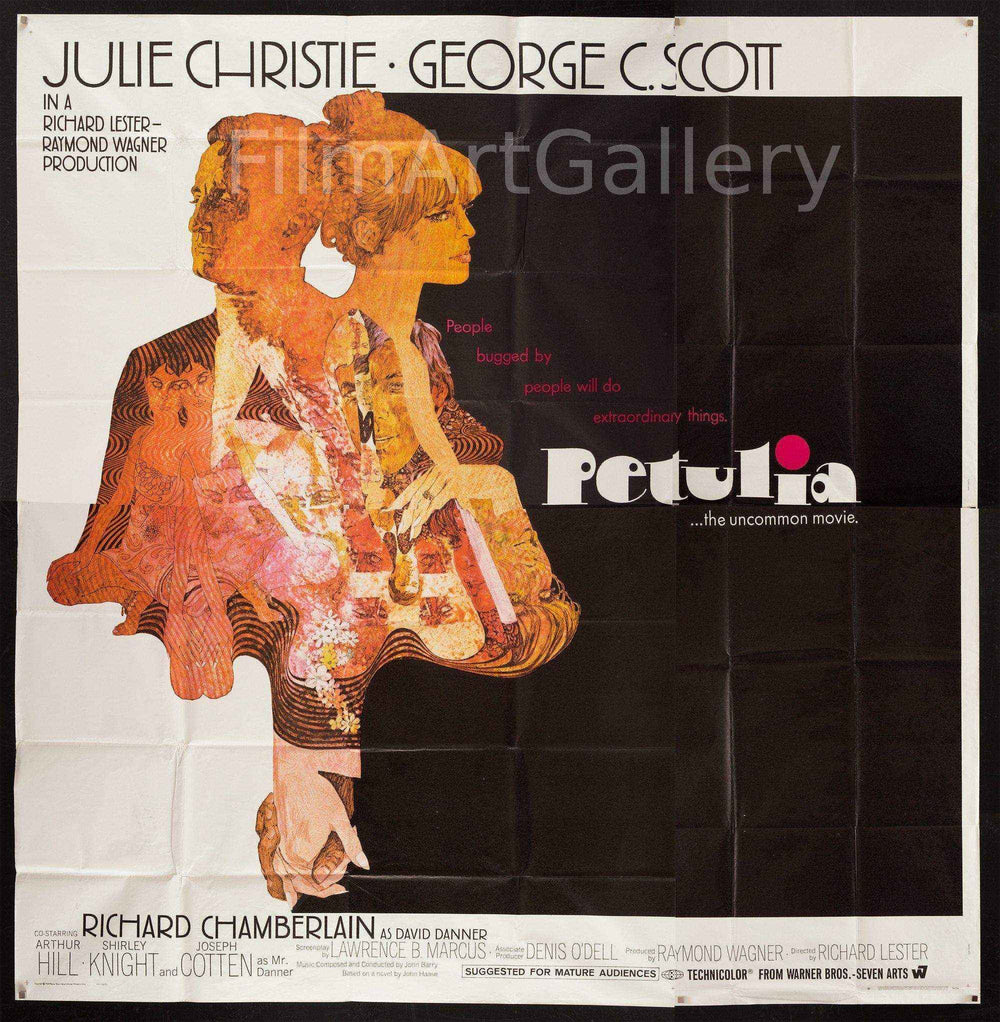 Petulia Original Vintage Movie Poster