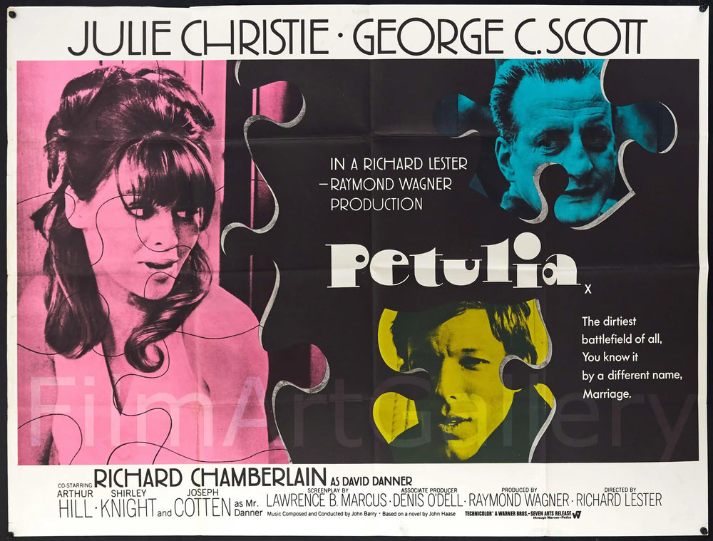 Petulia Original Vintage Movie Poster