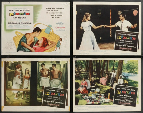 Picnic Original Vintage Movie Poster