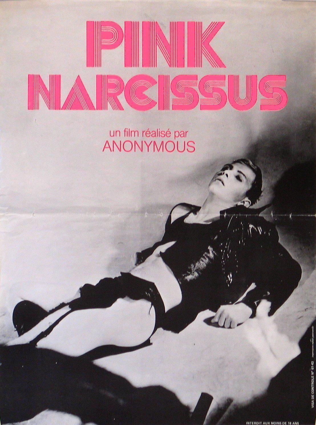 Pink Narcissus Original Vintage Movie Poster