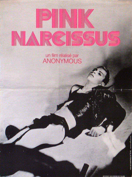 Pink Narcissus Original Vintage Movie Poster