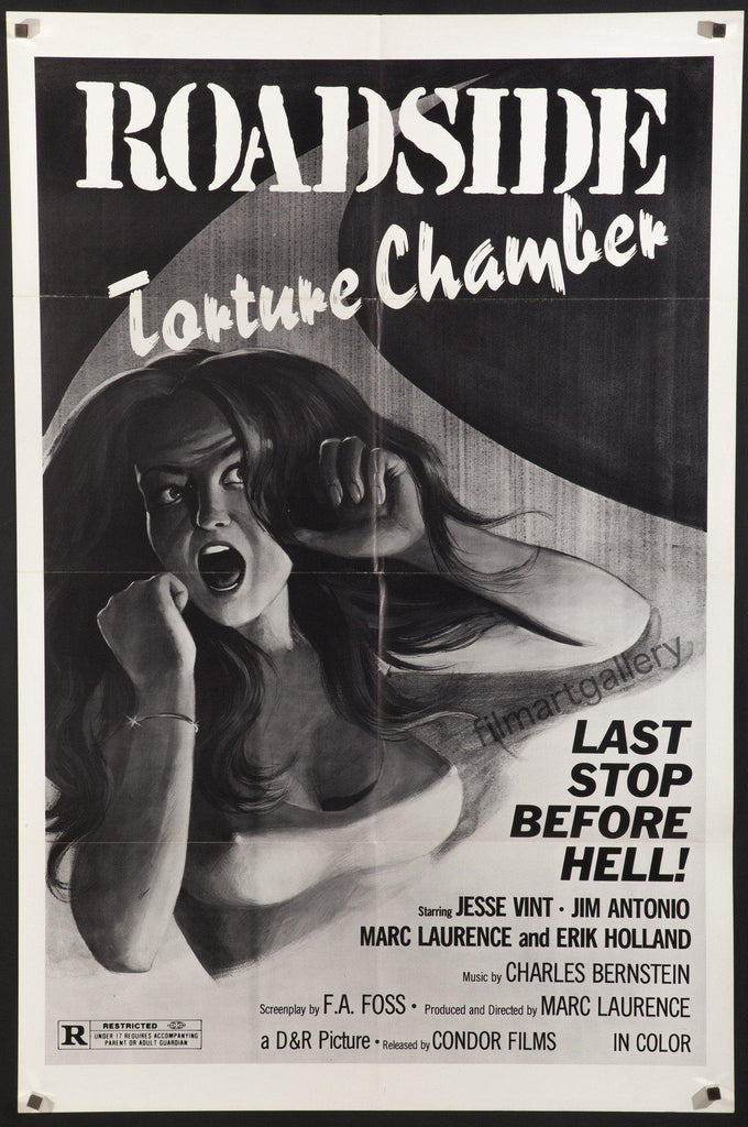 Roadside Torture Chamber Original Vintage Movie Poster