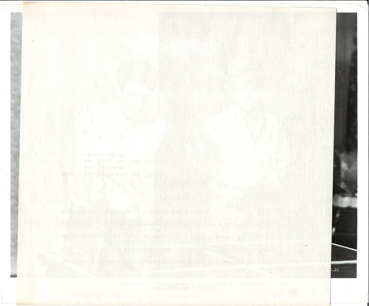 Rosemary's Baby Original Vintage Movie Poster