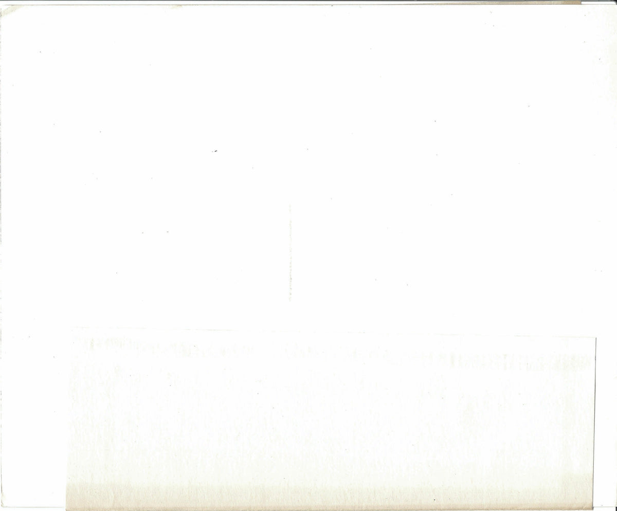 Rosemary's Baby Original Vintage Movie Poster