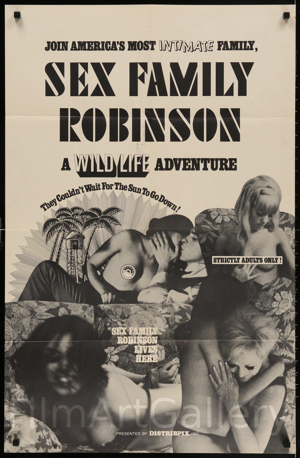 Sex Family Robinson Original Vintage Movie Poster