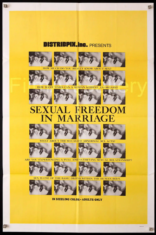 Sexual Freedom in Marriage Original Vintage Movie Poster