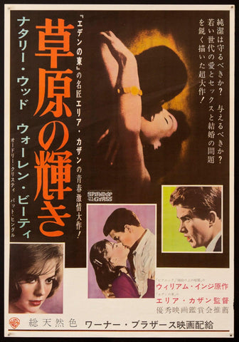 Splendor In the Grass Movie Poster 1961 Japanese 1 Panel (20x29)