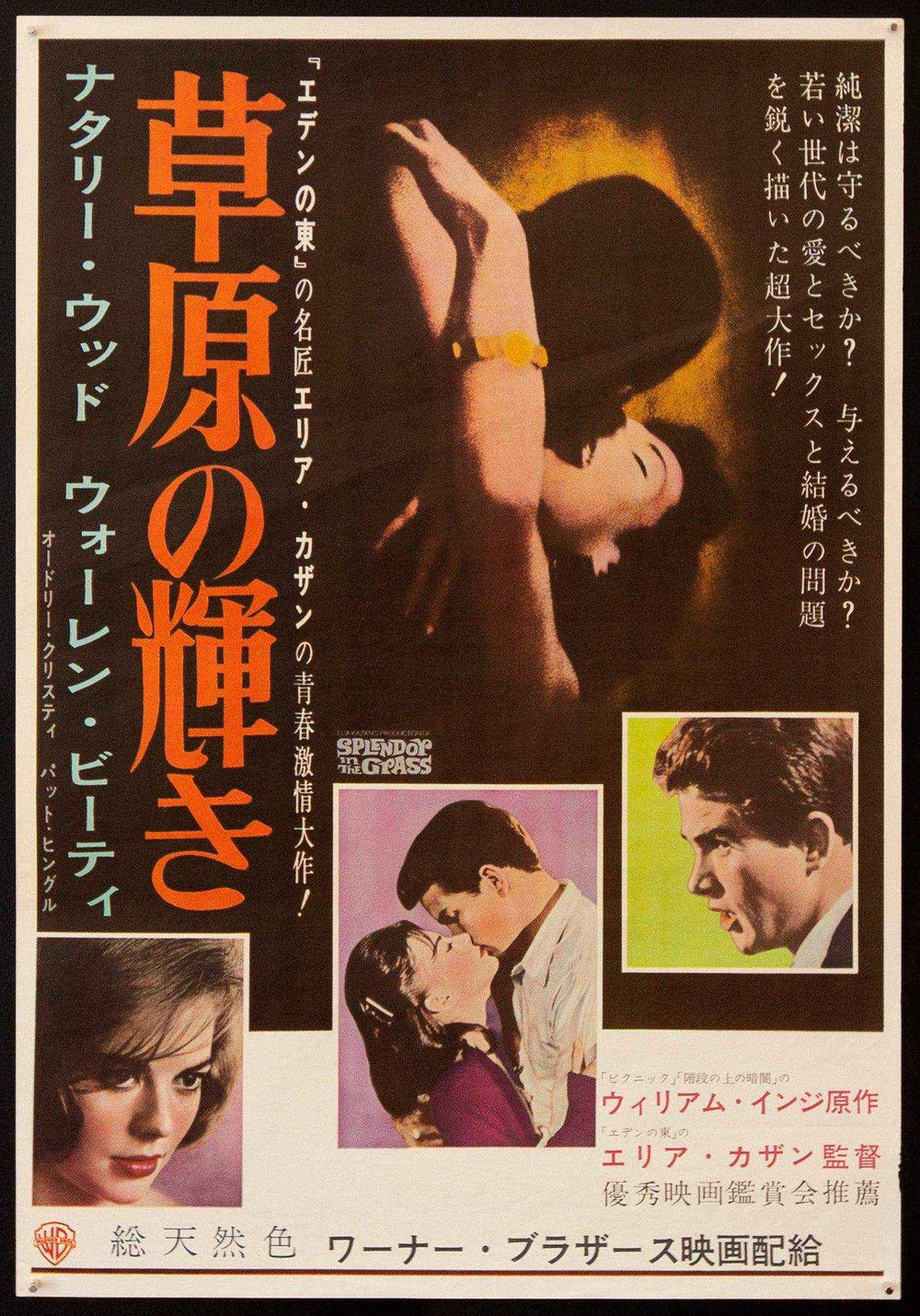 Splendor In the Grass Original Vintage Movie Poster
