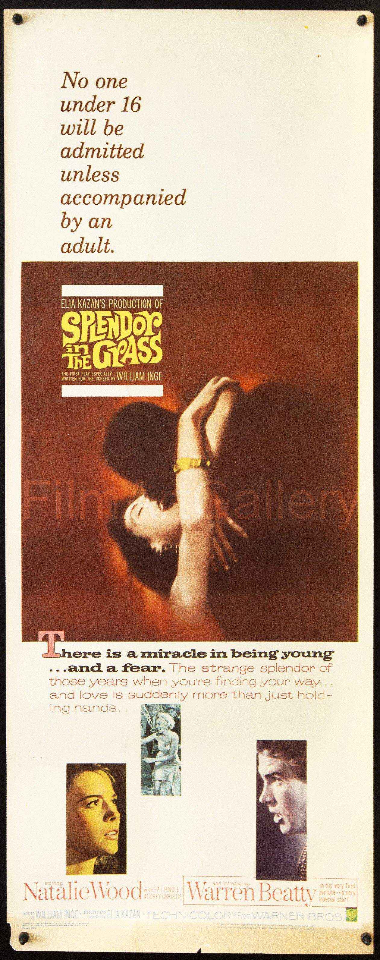 Splendor In the Grass Original Vintage Movie Poster