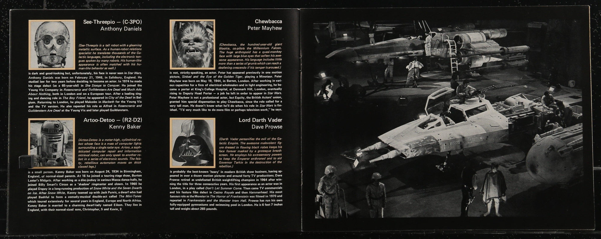 Star Wars Program Original Vintage Movie Poster