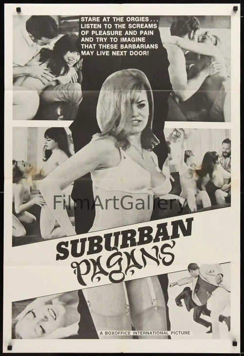 Suburban Pagans Original Vintage Movie Poster