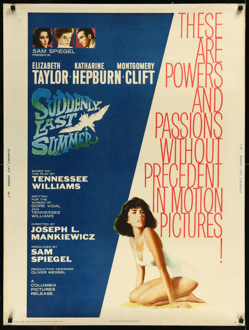 Suddenly, Last Summer Original Vintage Movie Poster
