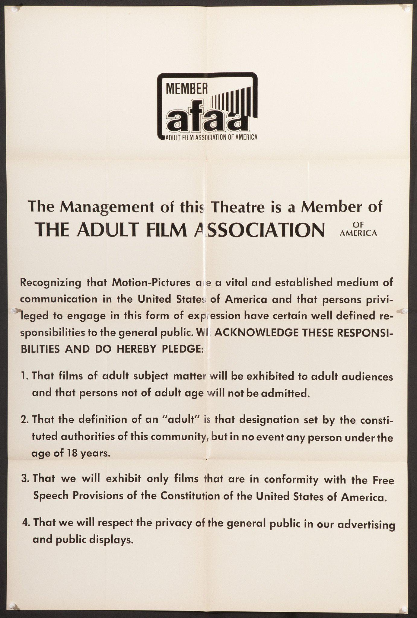 The Adult Film Association