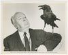 The Birds Original Vintage Movie Poster