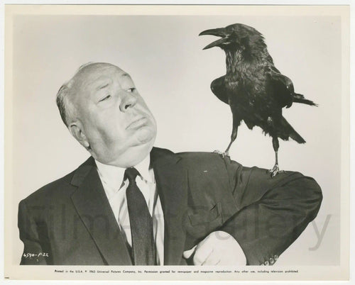 The Birds Original Vintage Movie Poster