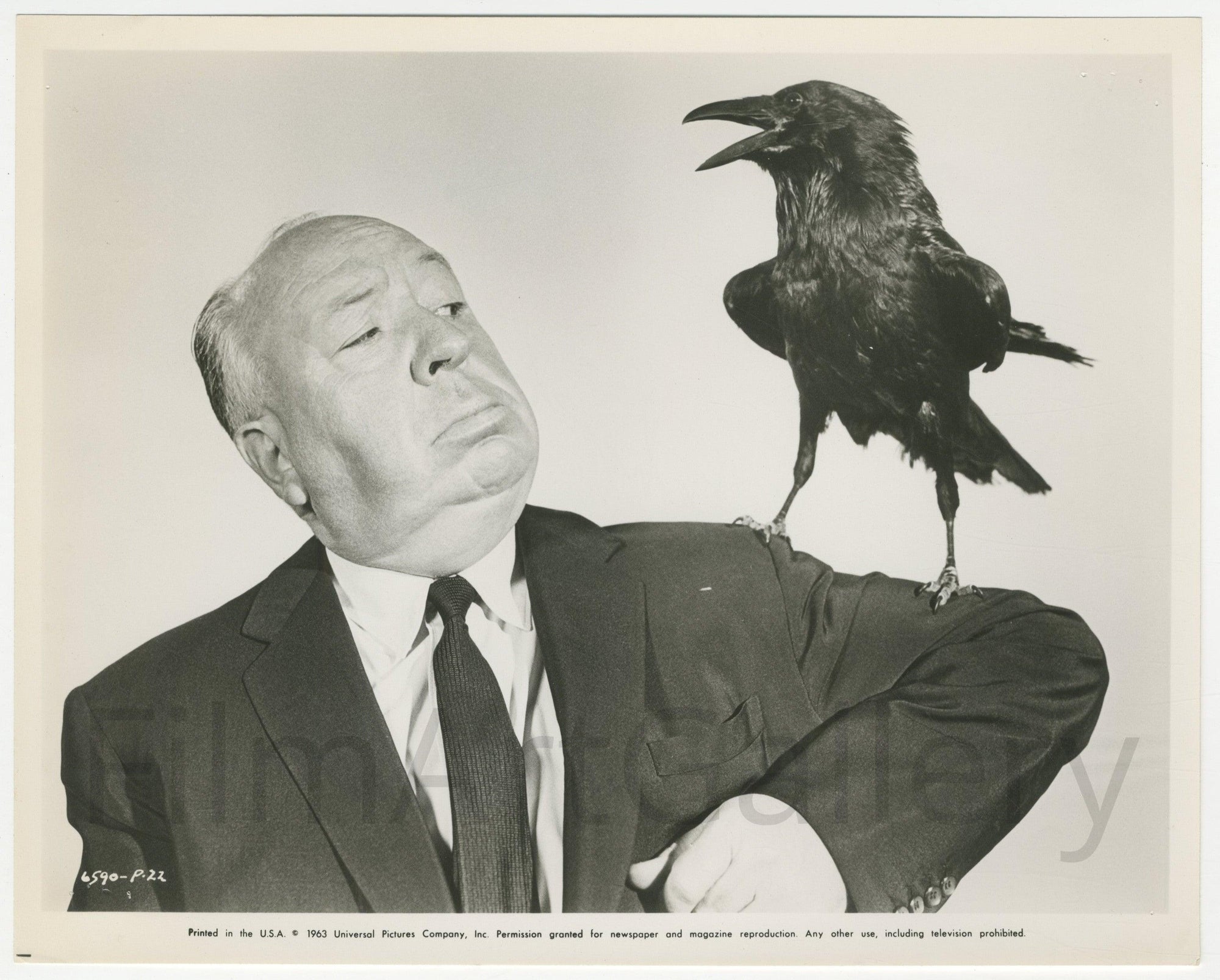 The Birds Original Vintage Movie Poster