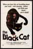 The Black Cat 1 Sheet (27x41) Original Vintage Movie Poster