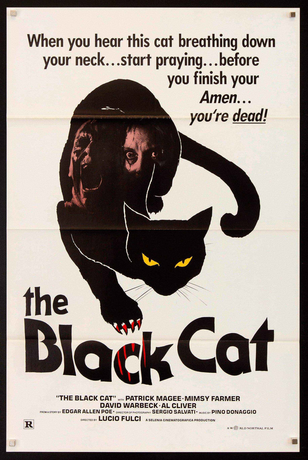 The Black Cat Original Vintage Movie Poster