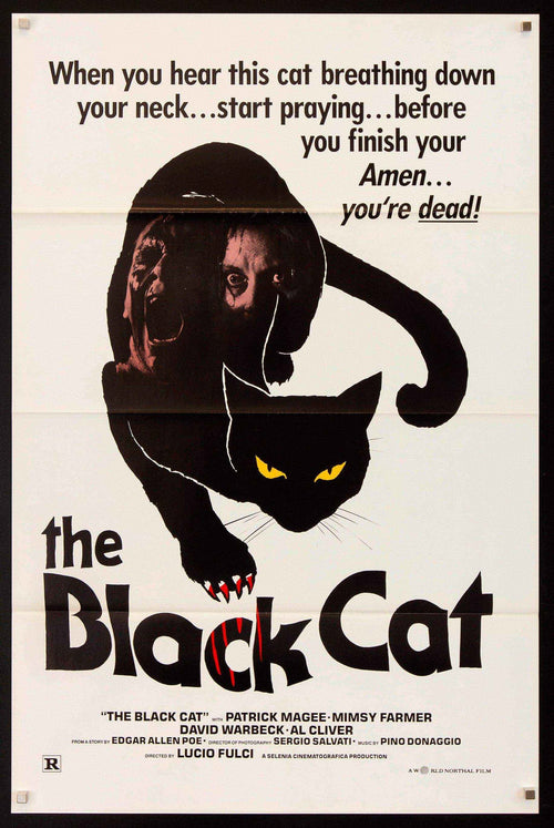 The Black Cat Original Vintage Movie Poster