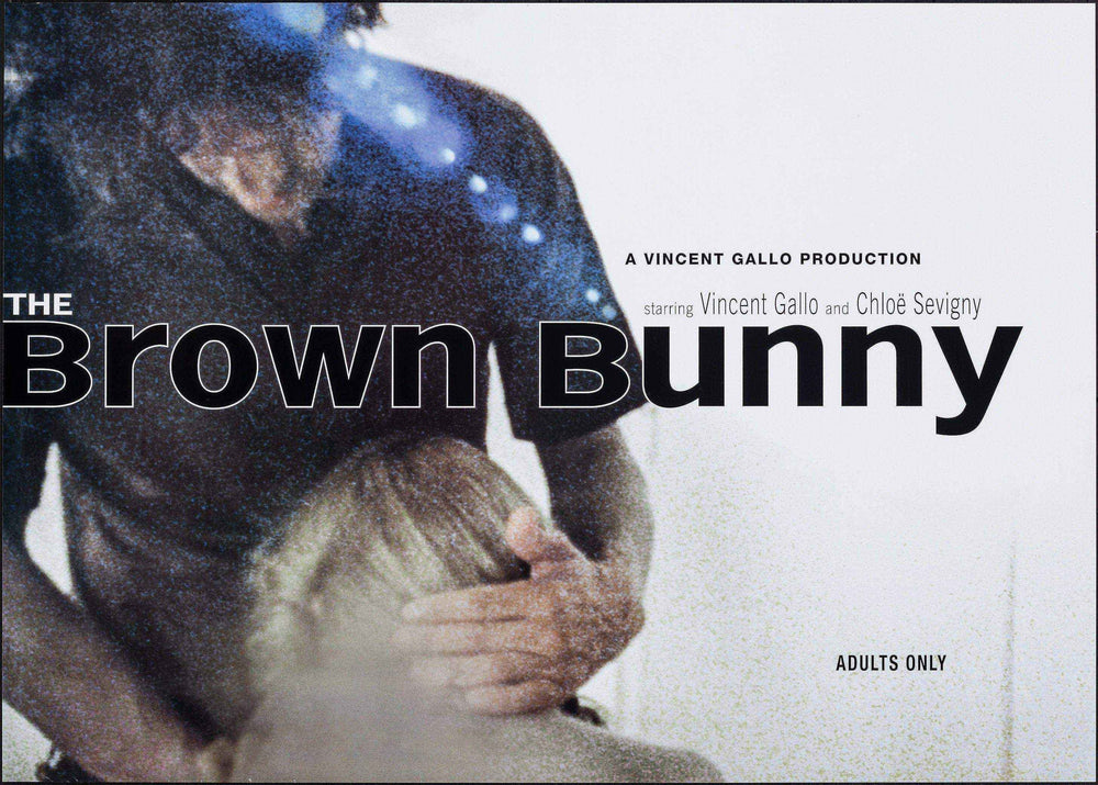 The Brown Bunny Original Vintage Movie Poster