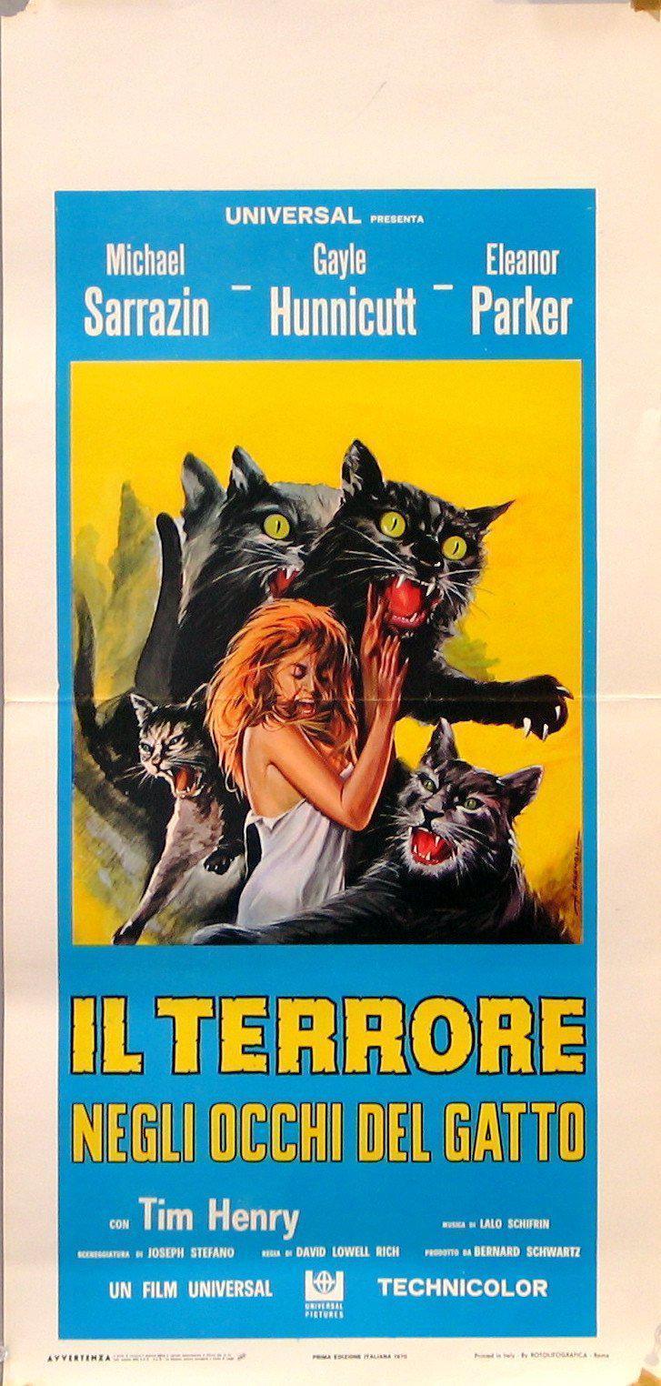 The Eye of the Cat Italian Locandina (13x28) Original Vintage Movie Poster