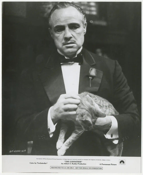 The Godfather Original Vintage Movie Poster