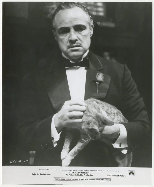 The Godfather Original Vintage Movie Poster