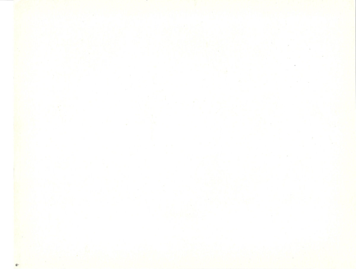 The Holy Mountain Original Vintage Movie Poster