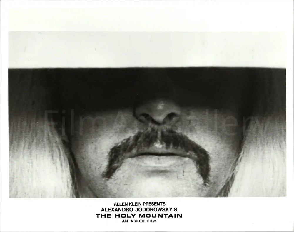 The Holy Mountain Original Vintage Movie Poster