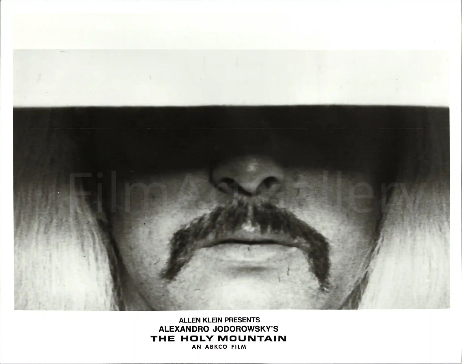 The Holy Mountain Original Vintage Movie Poster