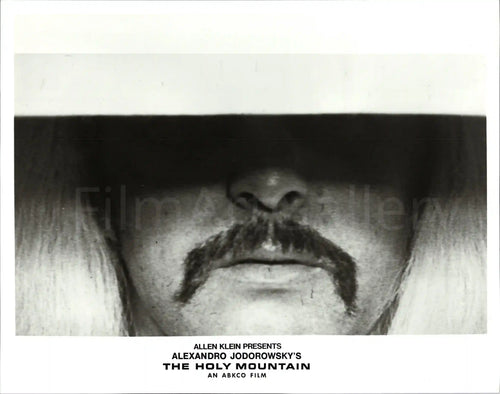 The Holy Mountain Original Vintage Movie Poster