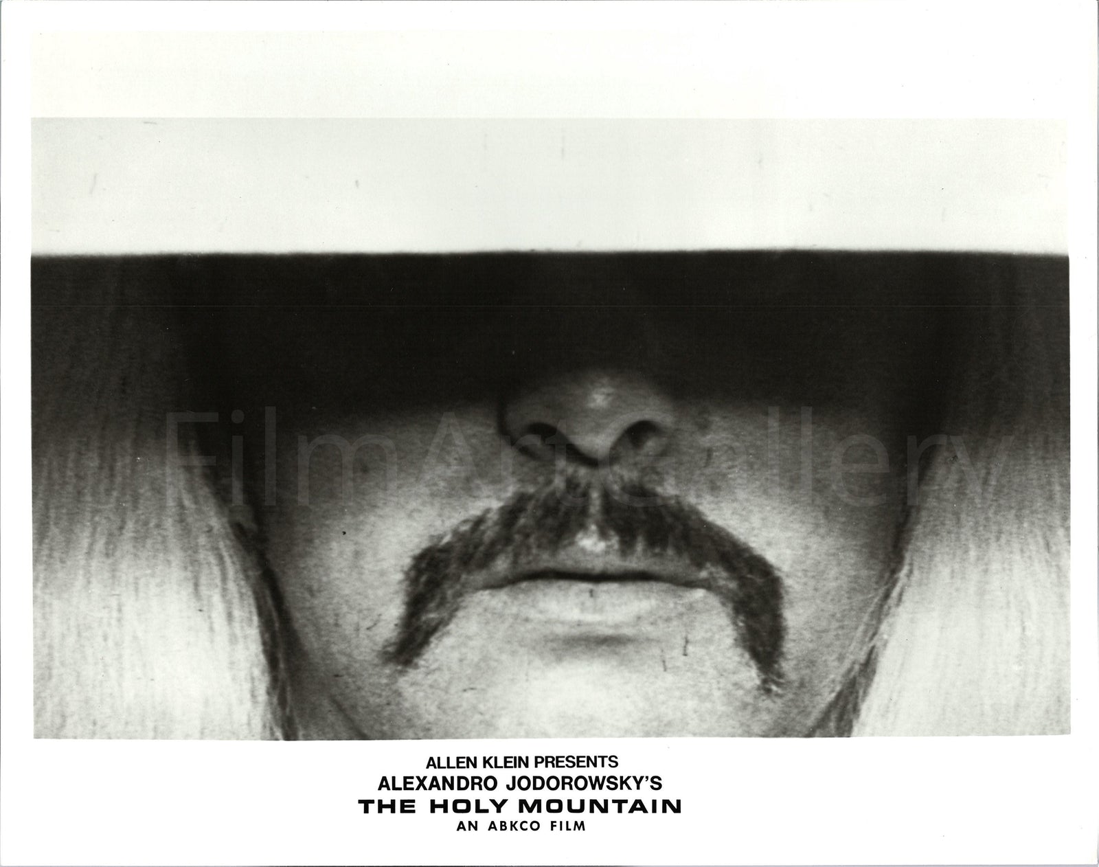 The Holy Mountain Original Vintage Movie Poster