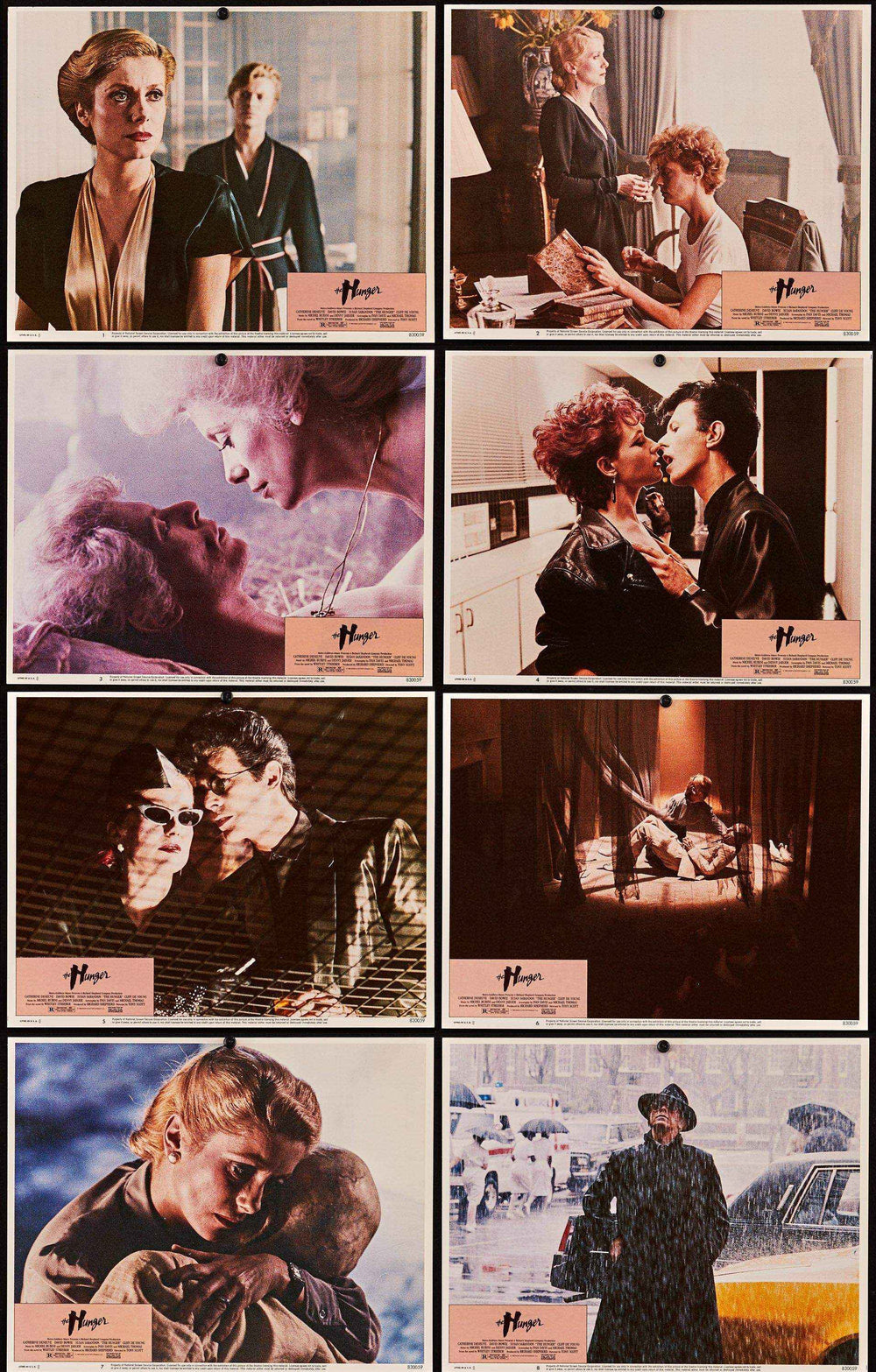 The Hunger Original Vintage Movie Poster