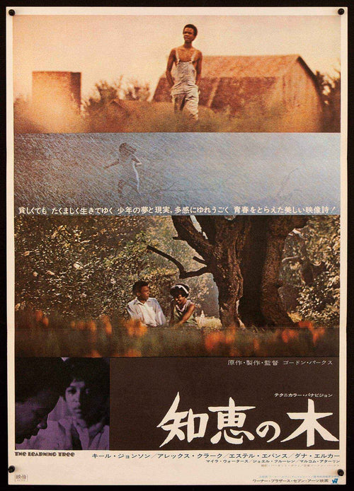 The Learning Tree Original Vintage Movie Poster