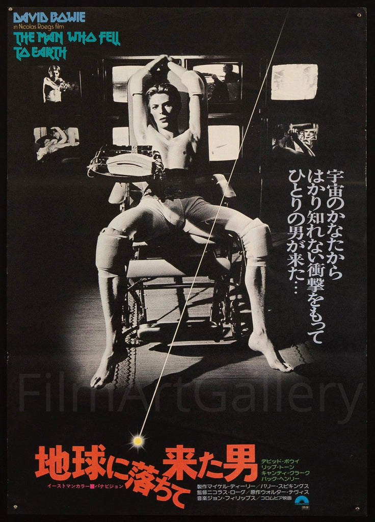 The Man Who Fell to Earth Japanese 1 Panel (20x29) Original Vintage Movie Poster