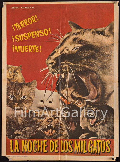 The Night of a Thousand Cats Original Vintage Movie Poster