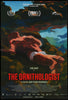 The Ornithologist (O Ornitologo) Original Vintage Movie Poster