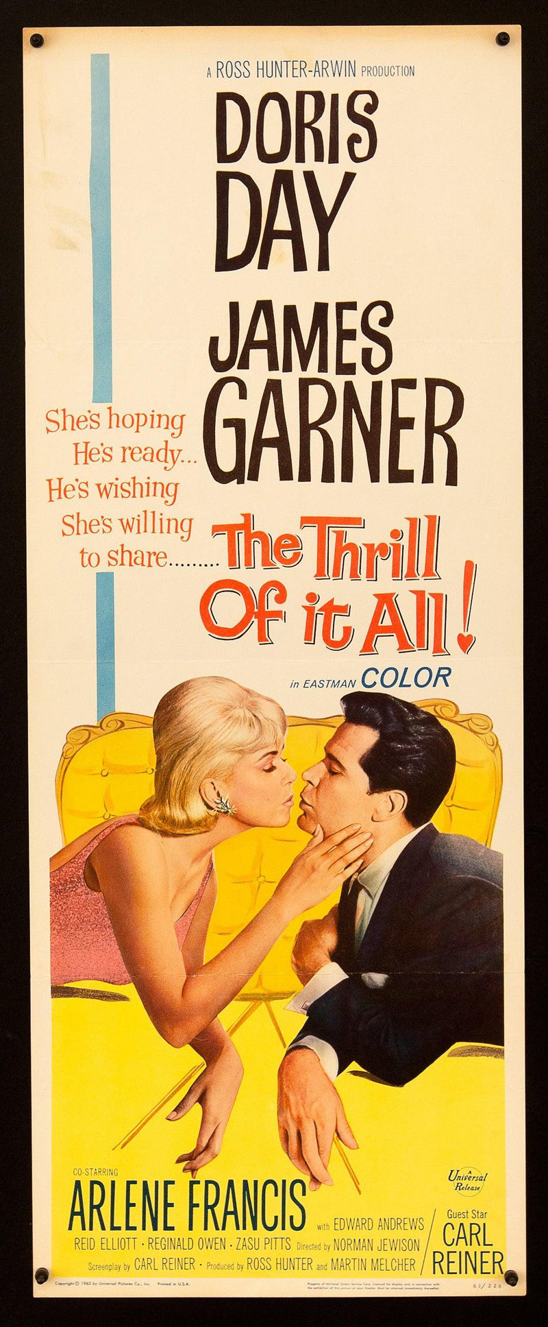 The Thrill of It All Insert (14x36) Original Vintage Movie Poster