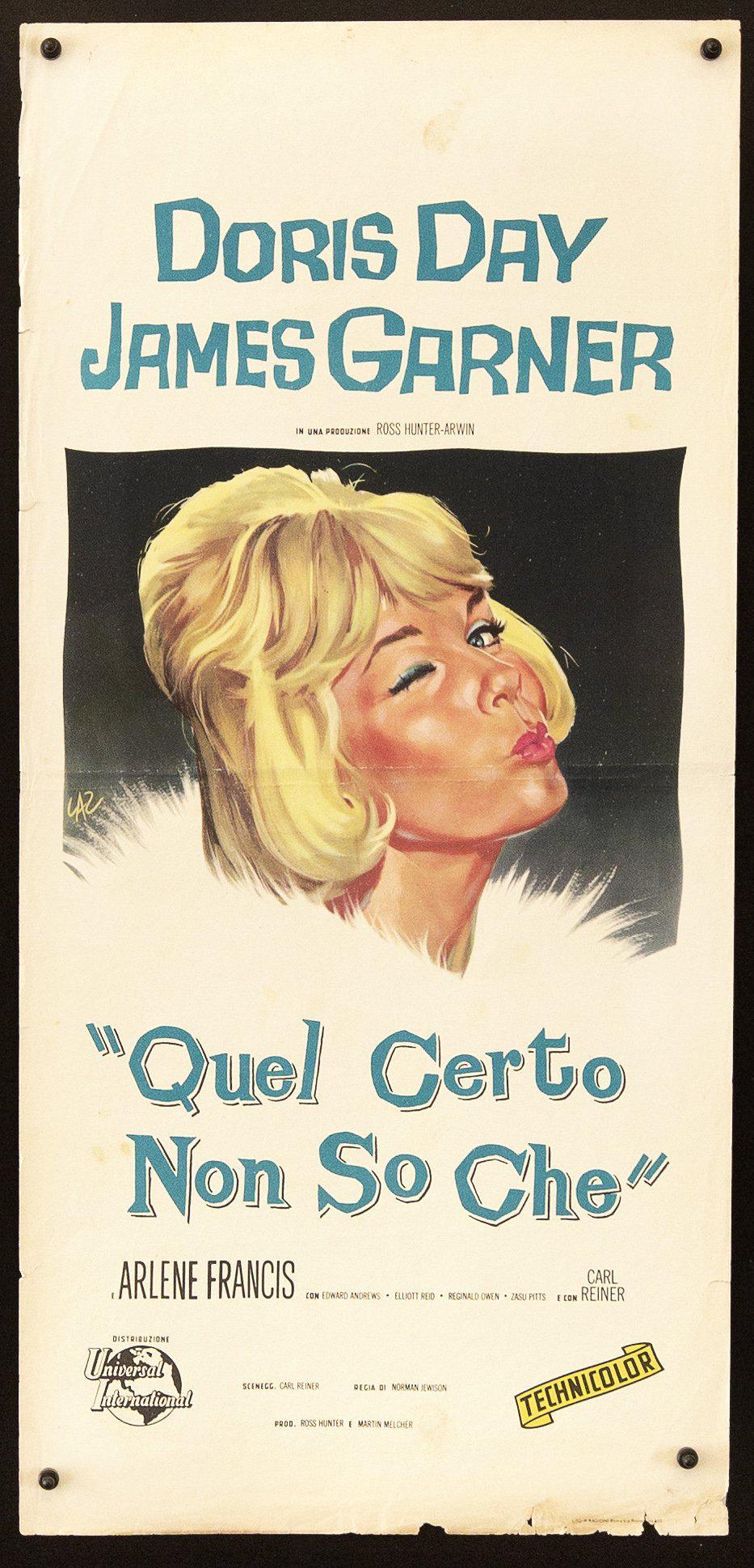 The Thrill of It All Italian Locandina (13x28) Original Vintage Movie Poster