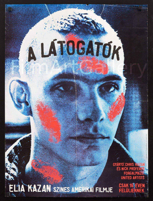 The Visitors Original Vintage Movie Poster