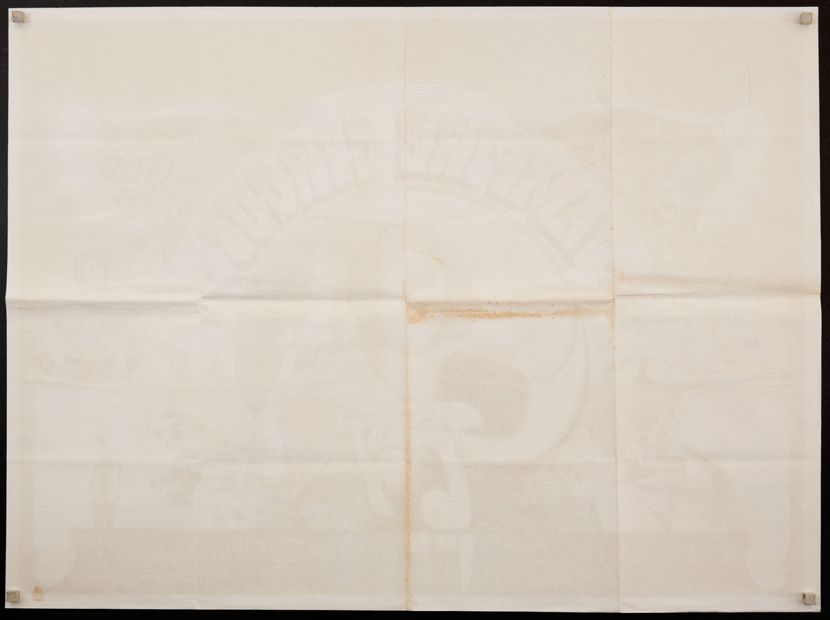 Vampire Circus Original Vintage Movie Poster