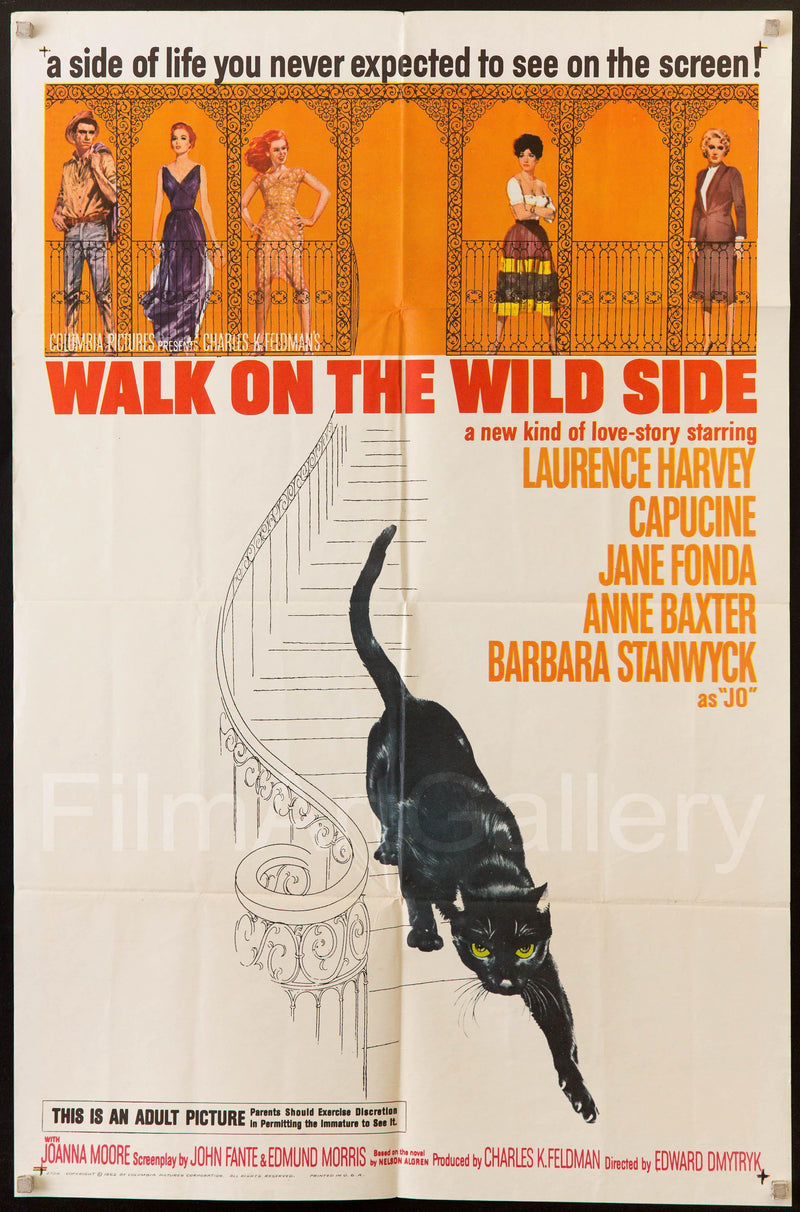 Walk on the Wild Side 1 Sheet (27x41) Original Vintage Movie Poster